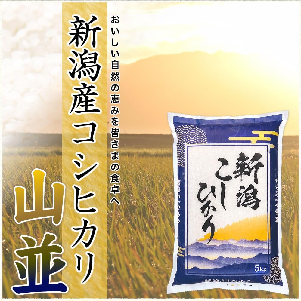 令和7年産 新潟産 コシヒカリ 山並 5kg 米