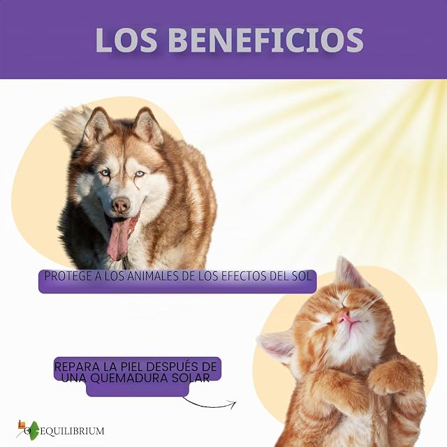 Foto 6 de 8 de Solanex - Protector solar para perros y gatos a base de ingredientes de origen natural