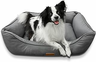 your GEAR Belluno Orthopädisches Hundebett 60x80 cm – Memory-Foam Hundekissen für mittelgroße & kleine Hunde, waschbar & hygienisch, ergonomisch & rutschfest