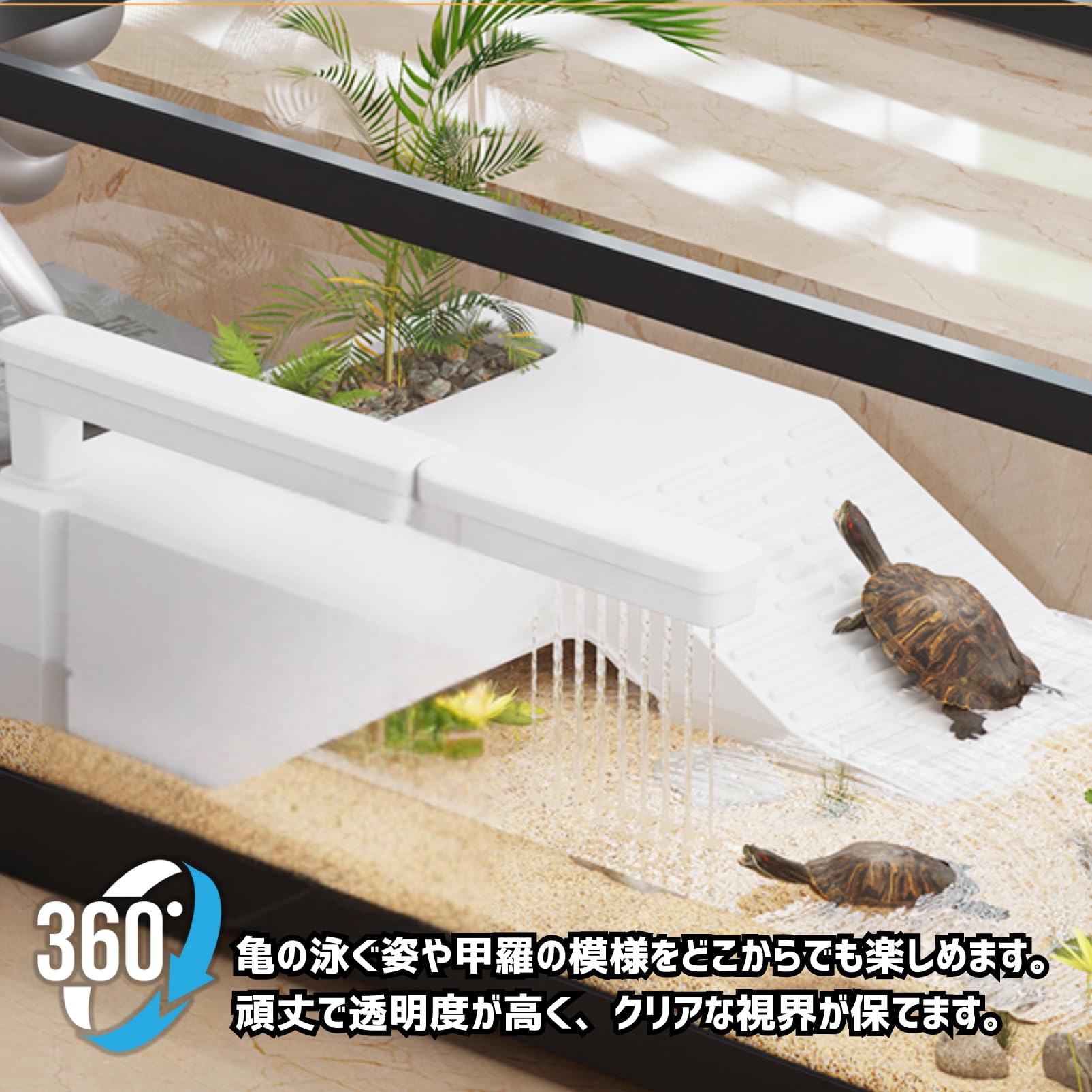 Amazon | COZENTA 亀 水槽 飼育ケース ケージ 高台 蓋付き アクリル製