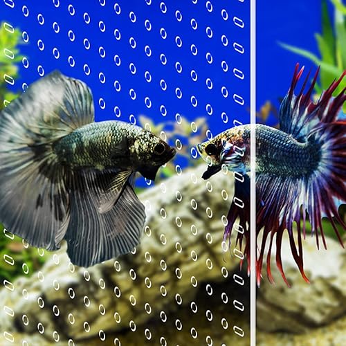 Miniatura 4 de Divisor de pecera transparente de 55 galones, divisor de acuario, tablero de aislamiento con ventosas