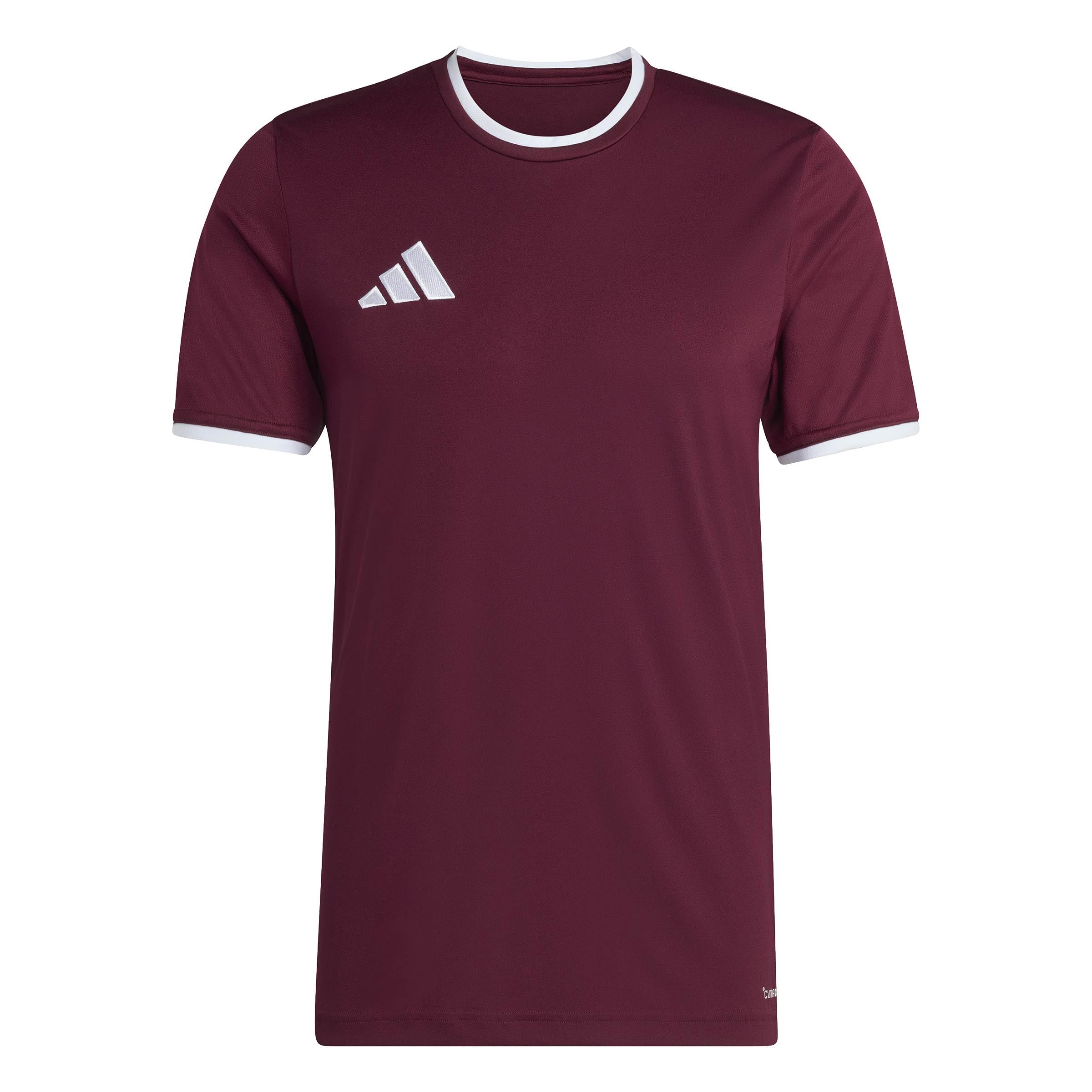 adidas Men's Entrada26 Jersey Shirt, Team Maroon 2/White, M Tall