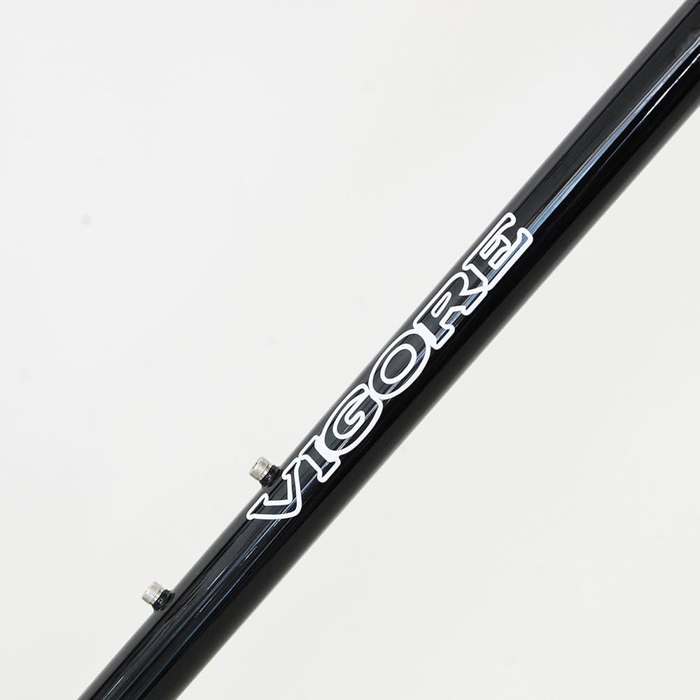 美品　ビゴーレ　オーダークロモリフレーム　サイズ50 Amazon | VIGORE(ビゴーレ) クロモリレーサー フレームのみ