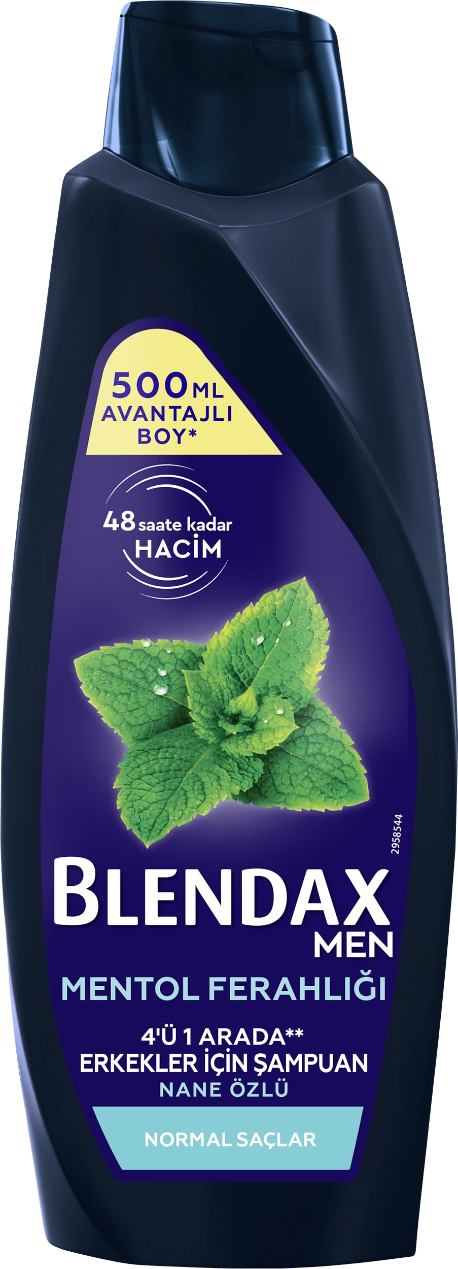 BLENDAX Erkekler için Mentol Ferahlığı Nane Özlü Şampuan, 500 ml
