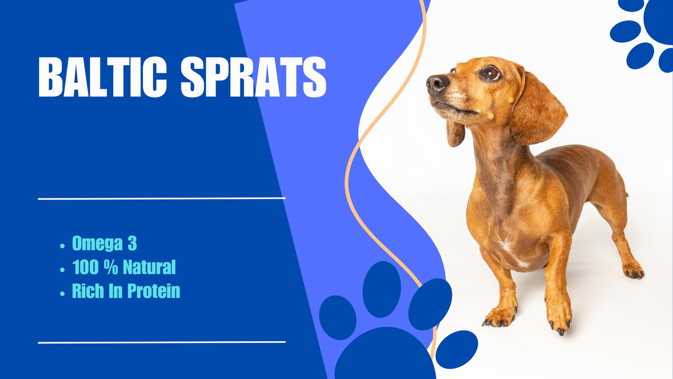 Snack per cani Premium Sprats del Baltico - Delizia di pesce essiccato all'aria naturale al 100% per cani | Sano, senza cereali, senza glutine e lattosio | Cibo crudo ipoallergenico p