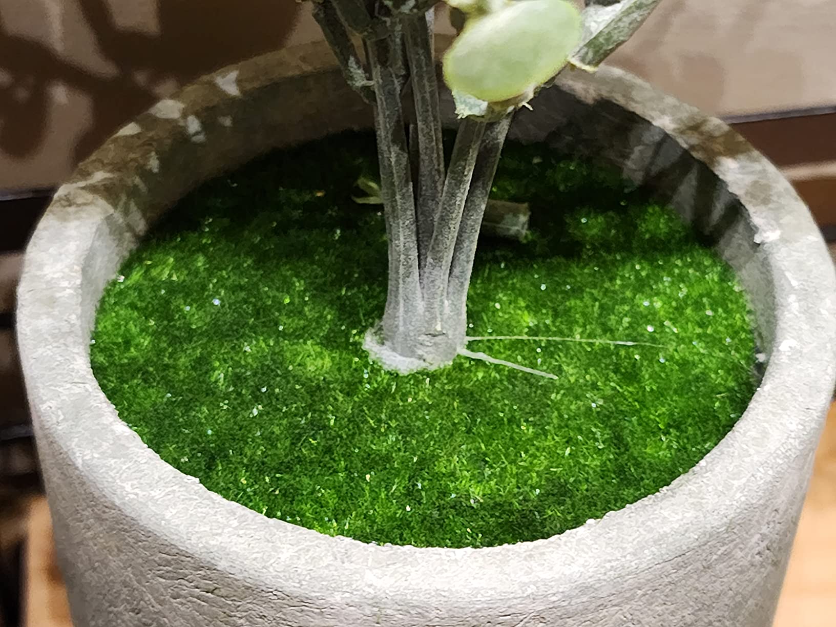 7/mo Finance Small Fake Plants Mini Artificial Potted Plants, 3