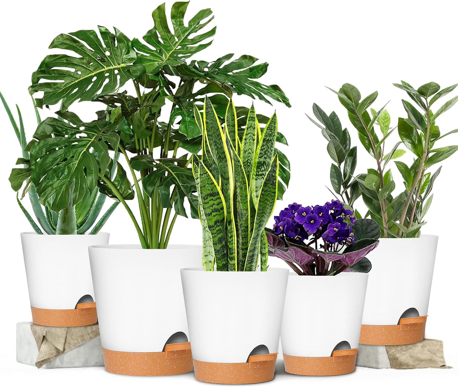 GARDIFE Plant Pots 7/6.5/6/5.5/5 Inch Self Watering Planters with Drainage Hole, Plastic Flower Pots, Nursery Planting Pot for All House Plants, African Violet, Flowers, and Cactus,White image 2