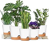 Vista 22 de GARDIFE 10/9/8 inch Plant pots, planters for Indoor Plants, self Watering Plant Pot, Flower pots, Black