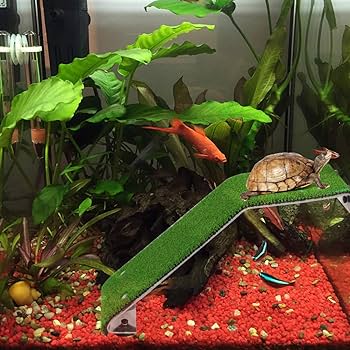 Turtle Basking Platform Tank Ladder Resting Floating Island Aquarium Lawn Decor