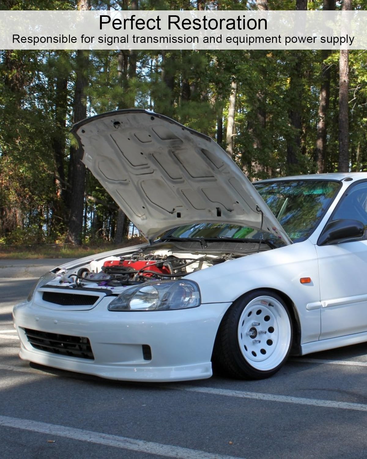 Tucked Engine Harness Replace CNCH-OBD2-1 CNCHOBD21 Fit for Honda Civic Integra B16 B18 D16, OBD2 Budget B-Series Engine Wiring Harness