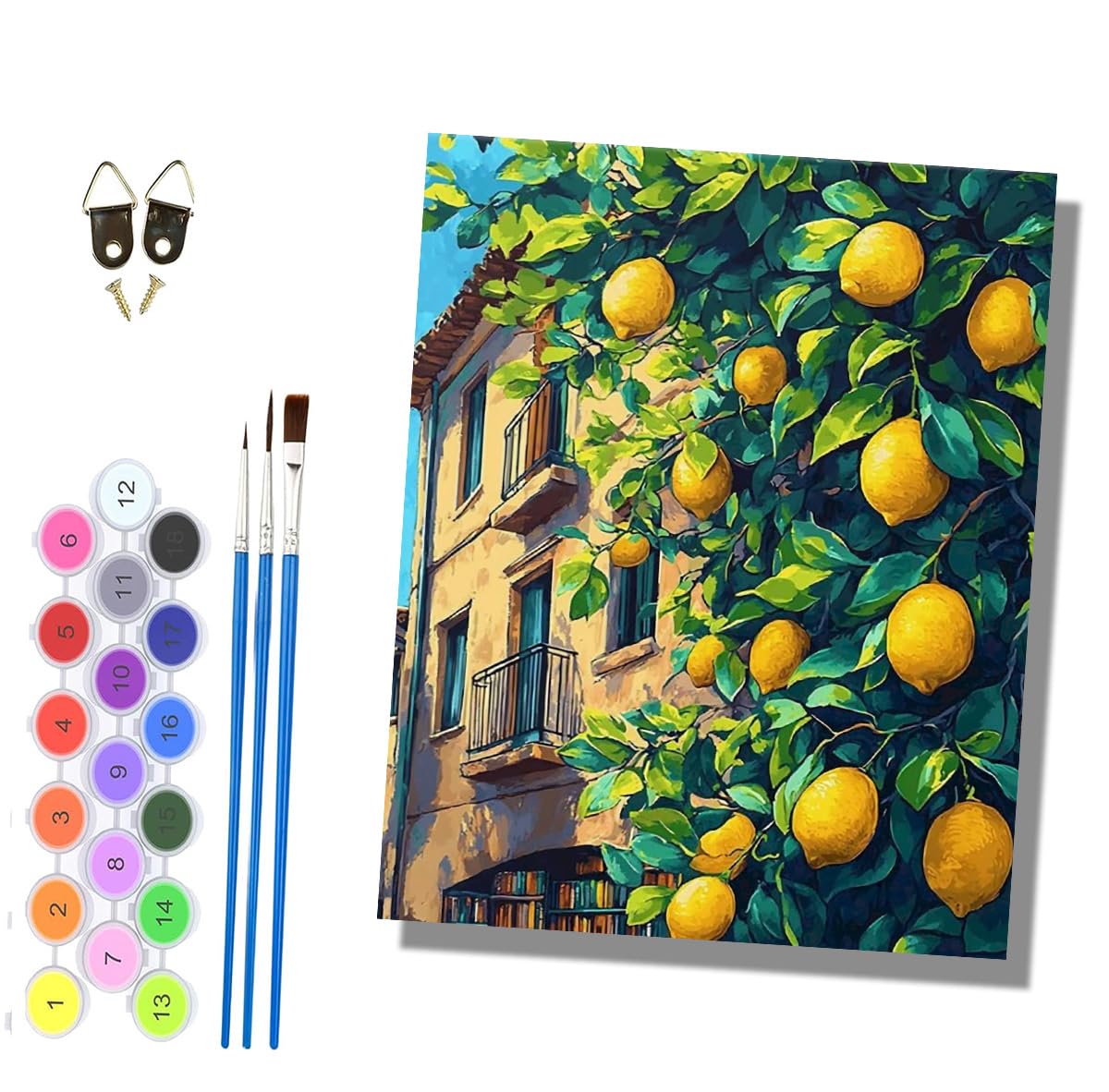 HONGPZH Paint by Numbers for Adults Painting by Numbers for Adults Canvas Kits Paint by Number Crafts Kits for Gift Home Decoration 16x20 inch Lemon Trees and Buildings