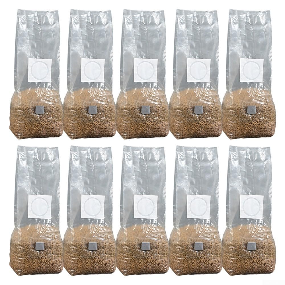 zeroupshop High Yield PP Mushroom Grow Bags 10 Pack, Clear Breathable Mushroom Substrate Bag, Moisture Retention Temperature Resistance Mushroom Grow Bag(32×50)