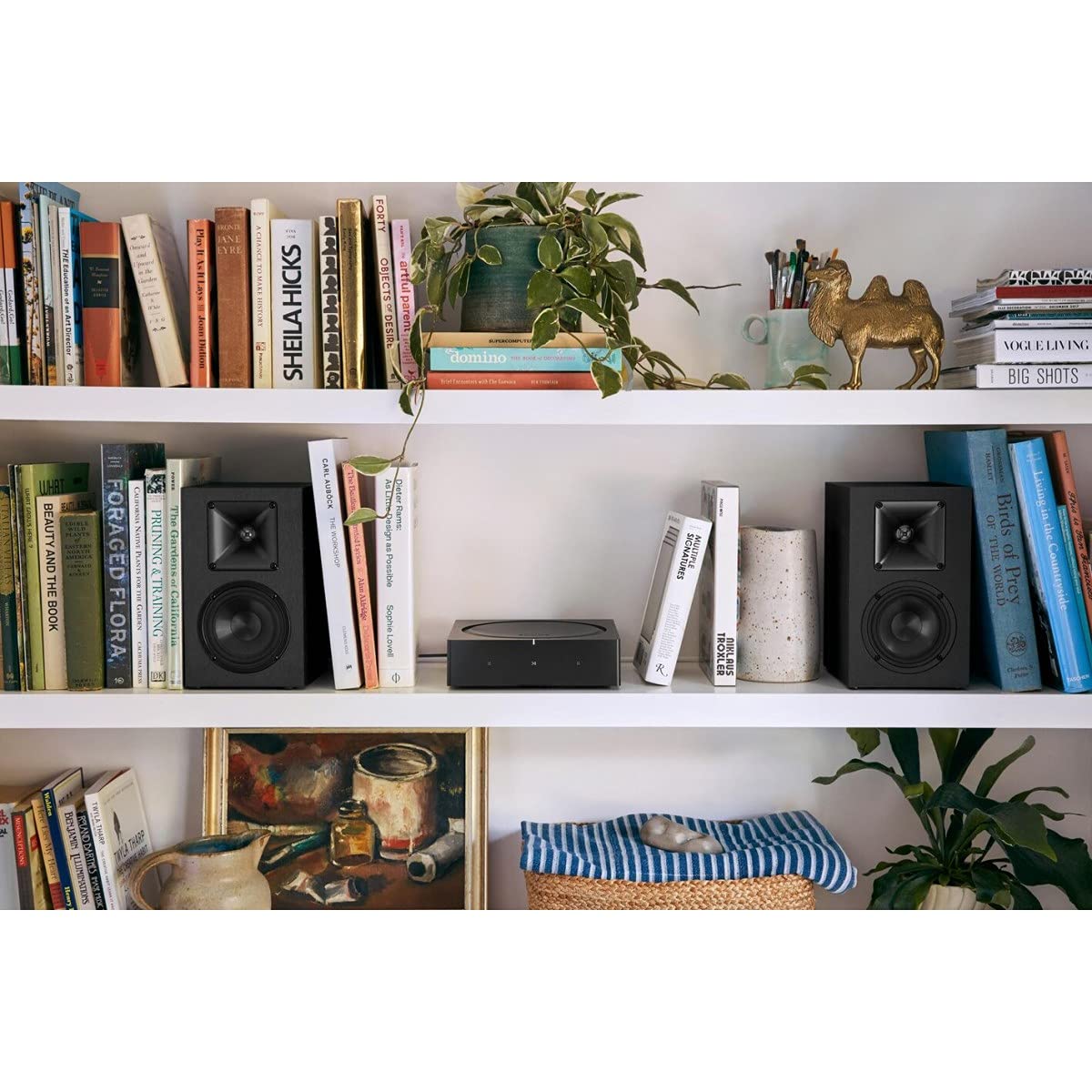 Générique Sonos AMP - Ampli Architectural