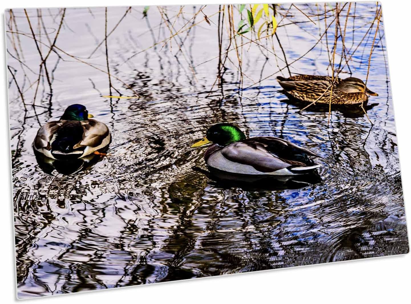 Pad de escritorio con patos en agua y ramitas de sauces - 23" x 16" miniatura 1
