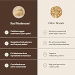 Real Mushrooms Lions Mane Capsules- Organic Mushroom Extract With Immunomodulating Properties Antioxidants - Vegan Supplement, 300 Capsules