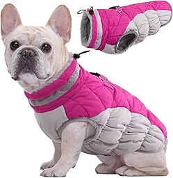 Kuoser Hundejacke Hundemantel für Kleine Hunde Winterweste, Wasserdicht Hunde Wintermantel Jacke Winter Hunde Mantel Mit Geschirr Warme Winterjacke Hundepullover Haustier Skifahren Kostüm Rosa, XS