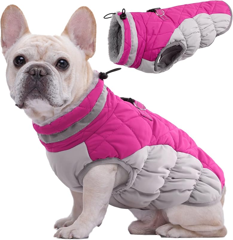 Kuoser Hundejacke Hundemantel fĂĽr Kleine Hunde Winterweste, Wasserdicht Hunde Wintermantel Jacke Winter Hunde Mantel Mit Geschirr Warme Winterjacke Hundepullover Haustier Skifahren KostĂĽm Rosa, XS