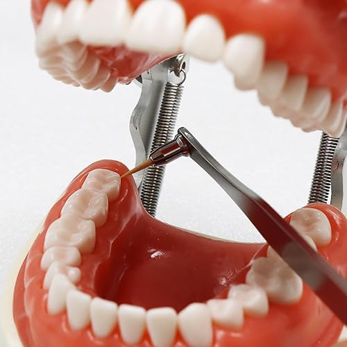 Miniatura 5 de PIKLIP Soporte para palillos de dientes de acero inoxidable