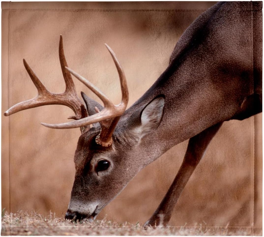 3dRose A Male Whitetail Deer grazes in a Meadow of Dry Grass in the Fall 22x30 Bath Hand Pool Towel