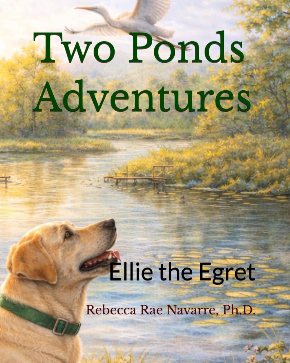 Two Ponds Adventures: Ellie the Egret