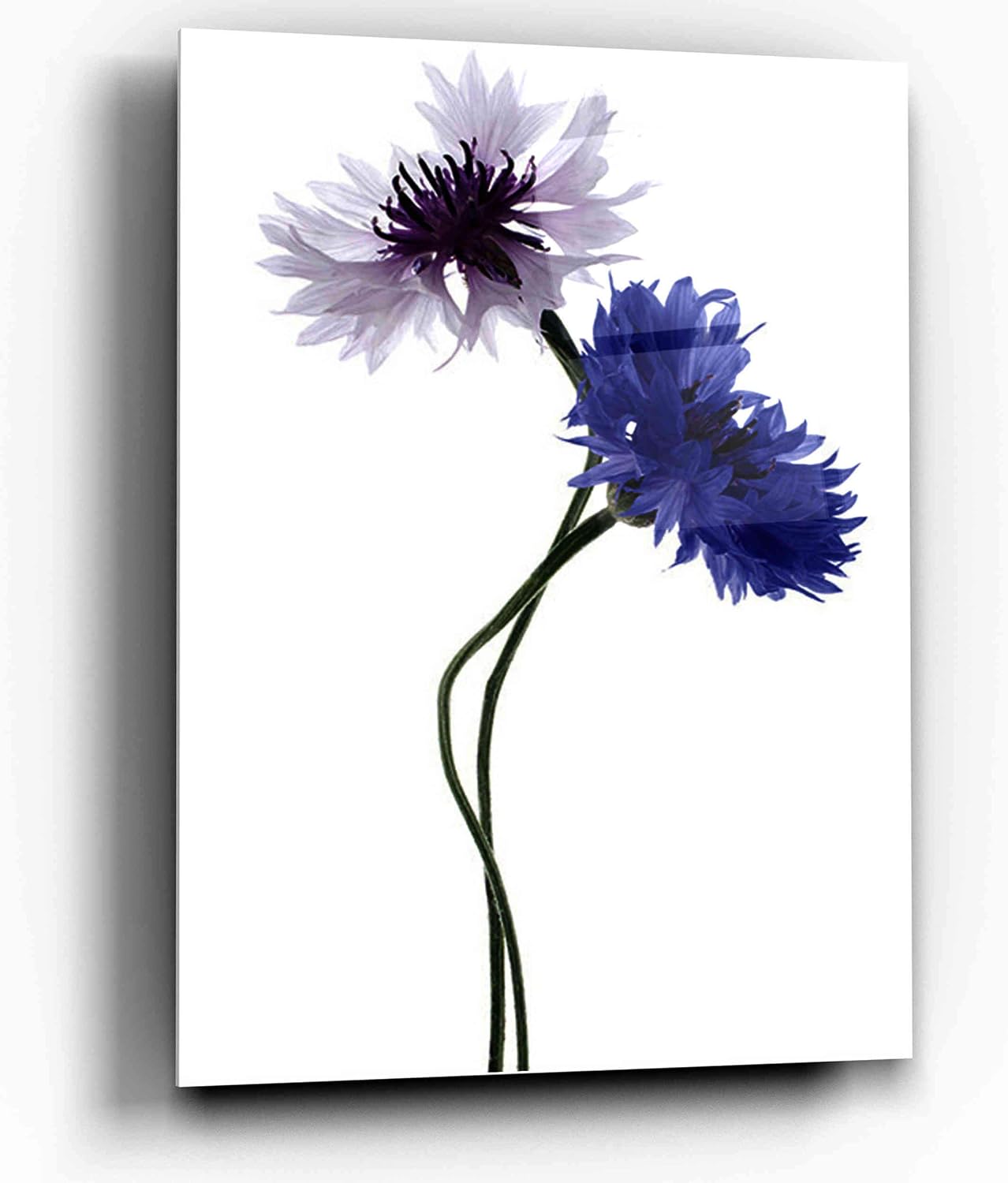 Epic Graffiti Blue Cyani Acrylic Wall Art, 20" x 14"