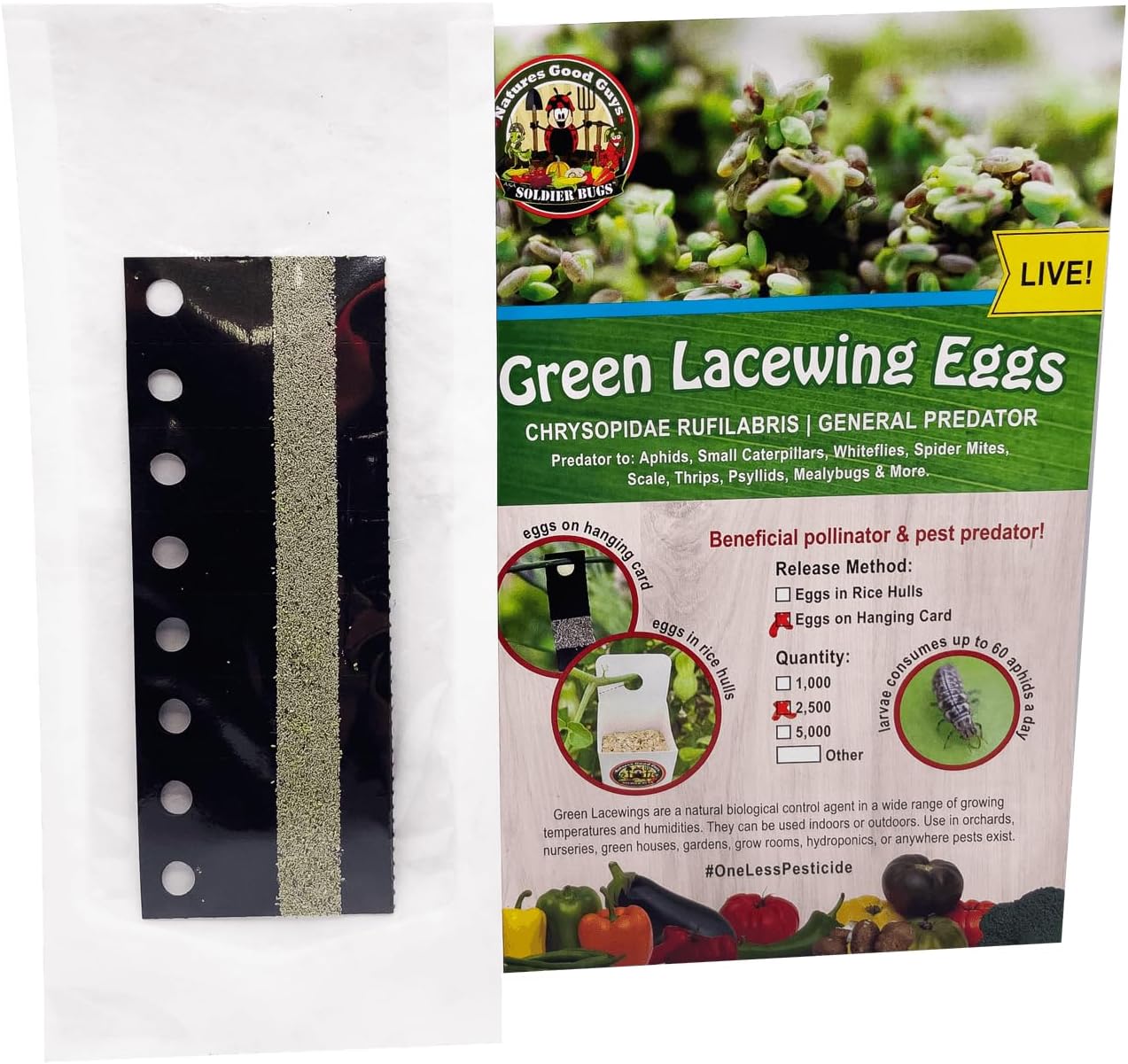 Natures Good Guys - Green Lacewing Eggs on Hanging Card (2,500 Eggs)