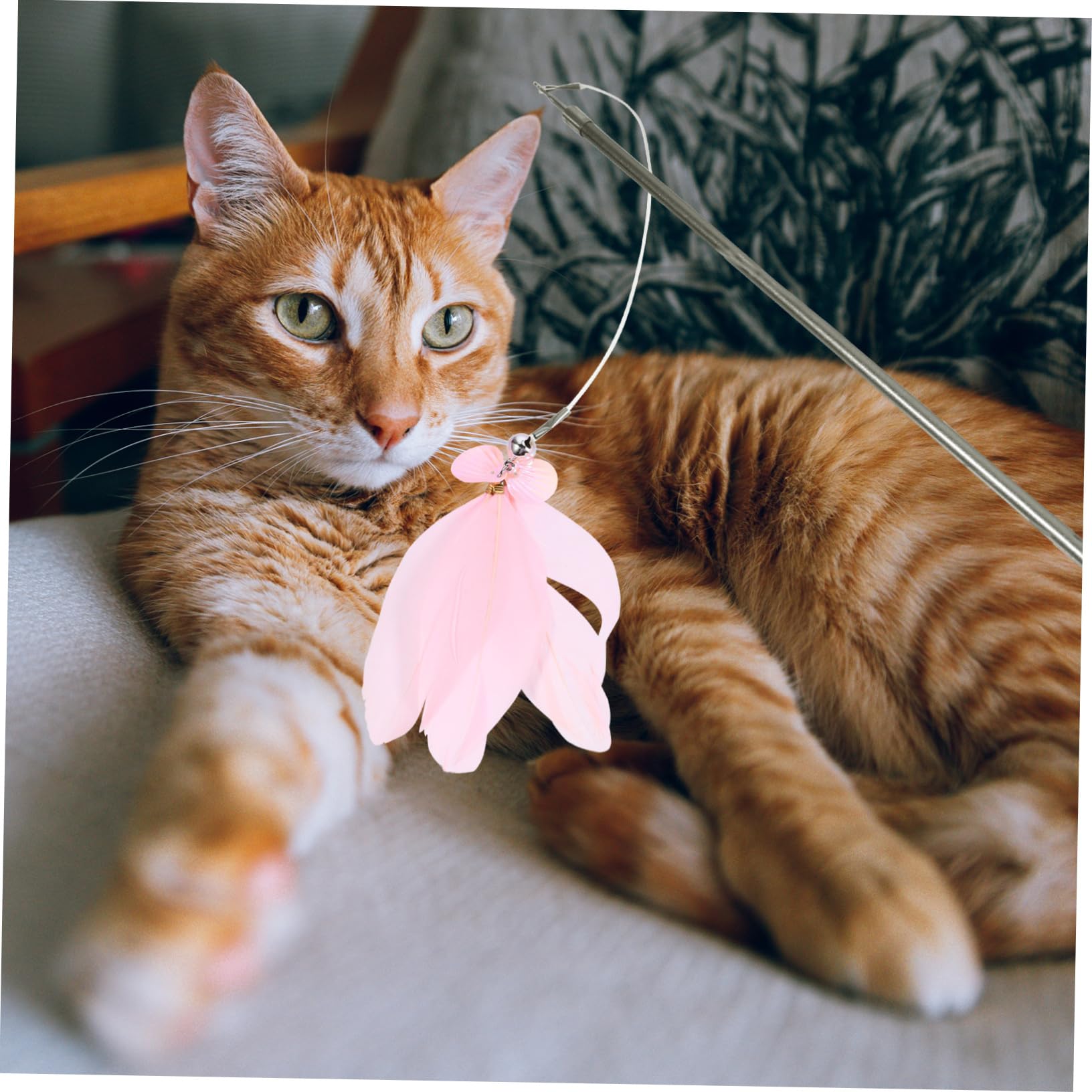 BESPORTBLE 3pièces Canne à Interactive pour Chat avec Jouets De Remplacement Ensemble De Jouets pour Chat Et