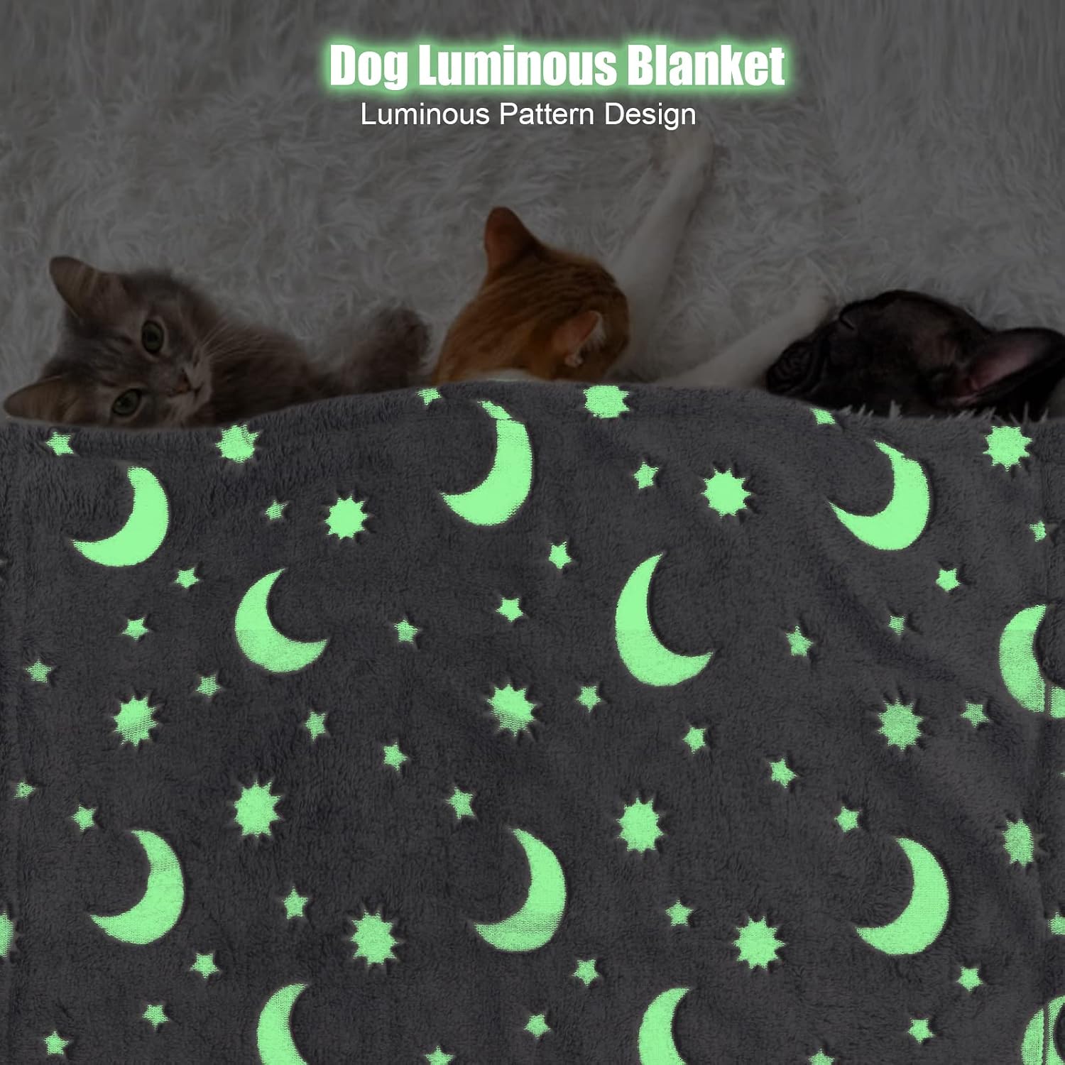 review SYH&AQYE Pet Blanket Dog Sleeping Blanket Glow in The Dark Throw Blanket Soft Comfortable Breathable Flannel Dog Blanket for Cats and Dogs (S)