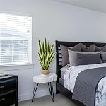 Warmplants Plante artificielle de serpents, 3ft Faux Sansevieria avec Panier, 35" Fausse mère en droit plantes, Faux parfaits pot de plantes Greenery pour la maison intérieure de bureau magasin de décoration réaliste (jaune)