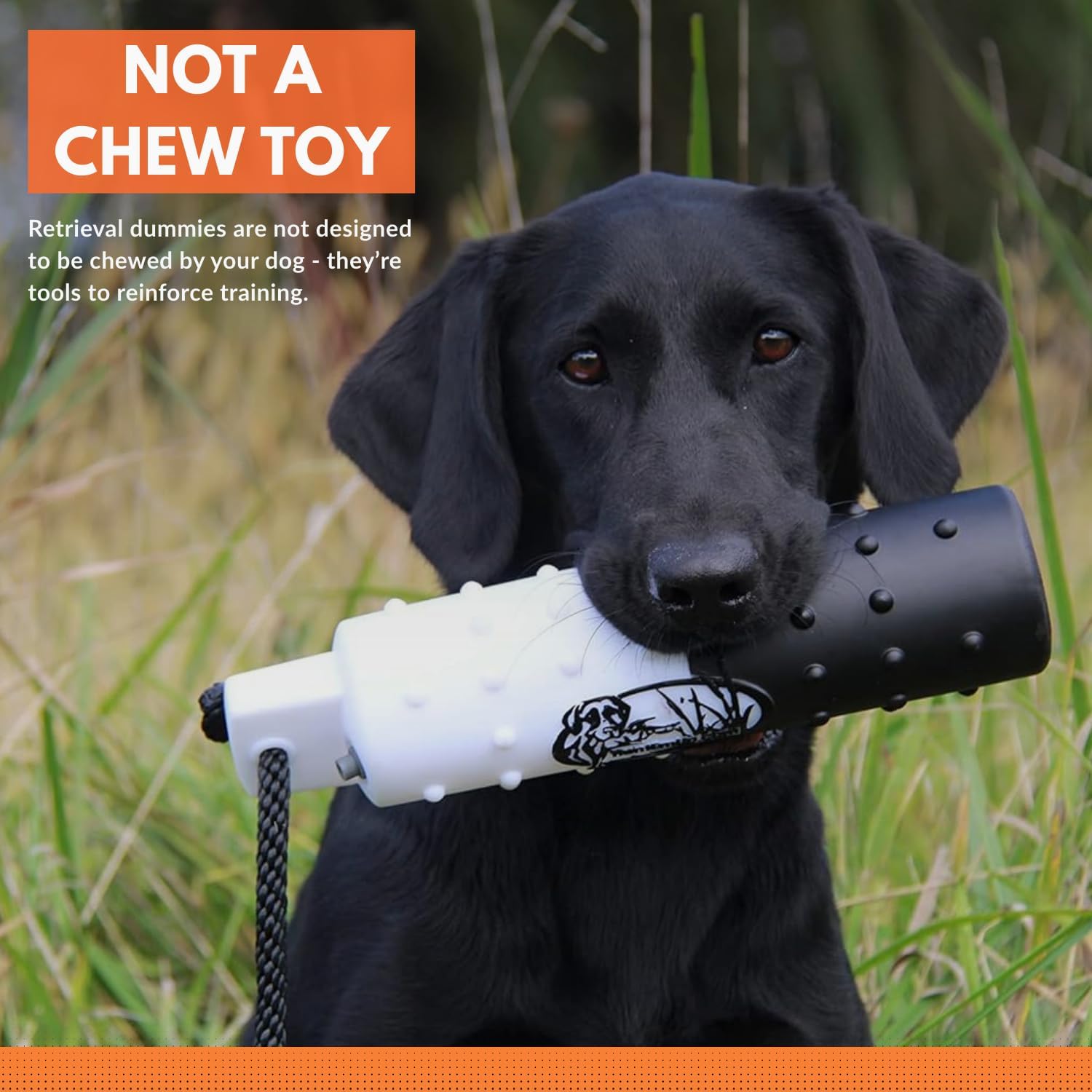 Training Bumper for Hunting Dogs - Water-Ready Floating Fetch Dummy with Throw Rope (Valveless) - Durable, Knobby Design, 2"x11"(6 ct Wht)