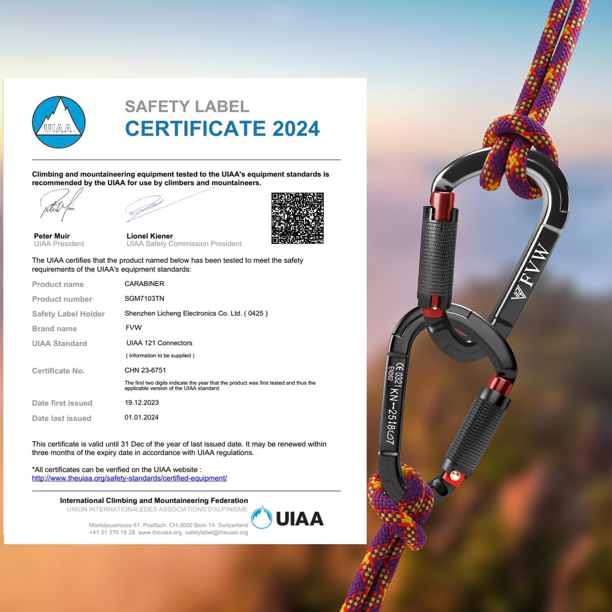 25KN Karabiner Klettern Kletterausrüstung,Locking Kletterkarabiner Clips für Hängematten, Schaukel, Locking Hundeleine und Geschirr, Camping, Wandern & Utility