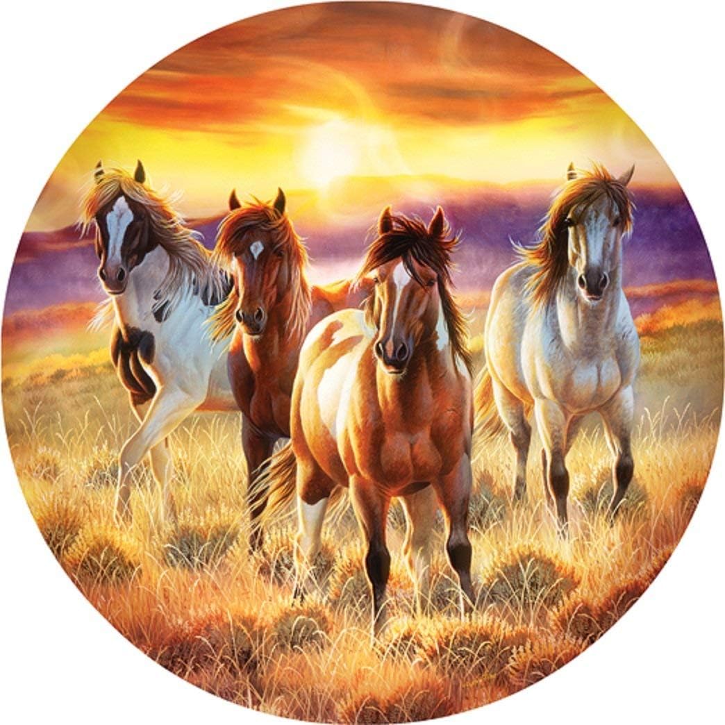 SUNSOUT INC - Running in the Sun - 500 pc Round Jigsaw Puzzle by Artist: Cynthie Fisher - Finished Size 19.5" rd - MPN# 70997
