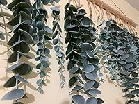 Review Image by R. R.