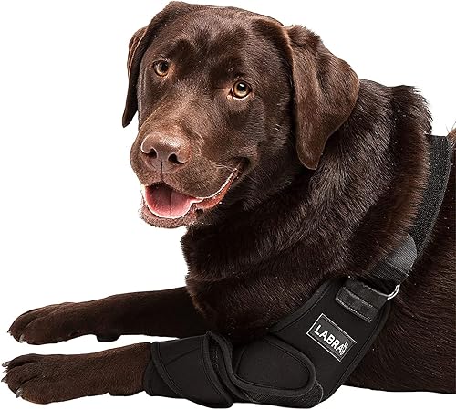 Labra Dog Canine K9 - Soporte para aliviar el dolor de callos en el hombro y el codo - Protector de masticación de heridas de higroma de puntos