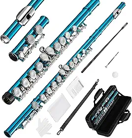 VEDO Flauta C maior Transversal Kit - Boca Corte Biselado, Premium instrumento musical Chaves Ajustáveis, Estojo Portátil e Som Fluido Ideal para Bandas Marciais Presentes Musicais azul