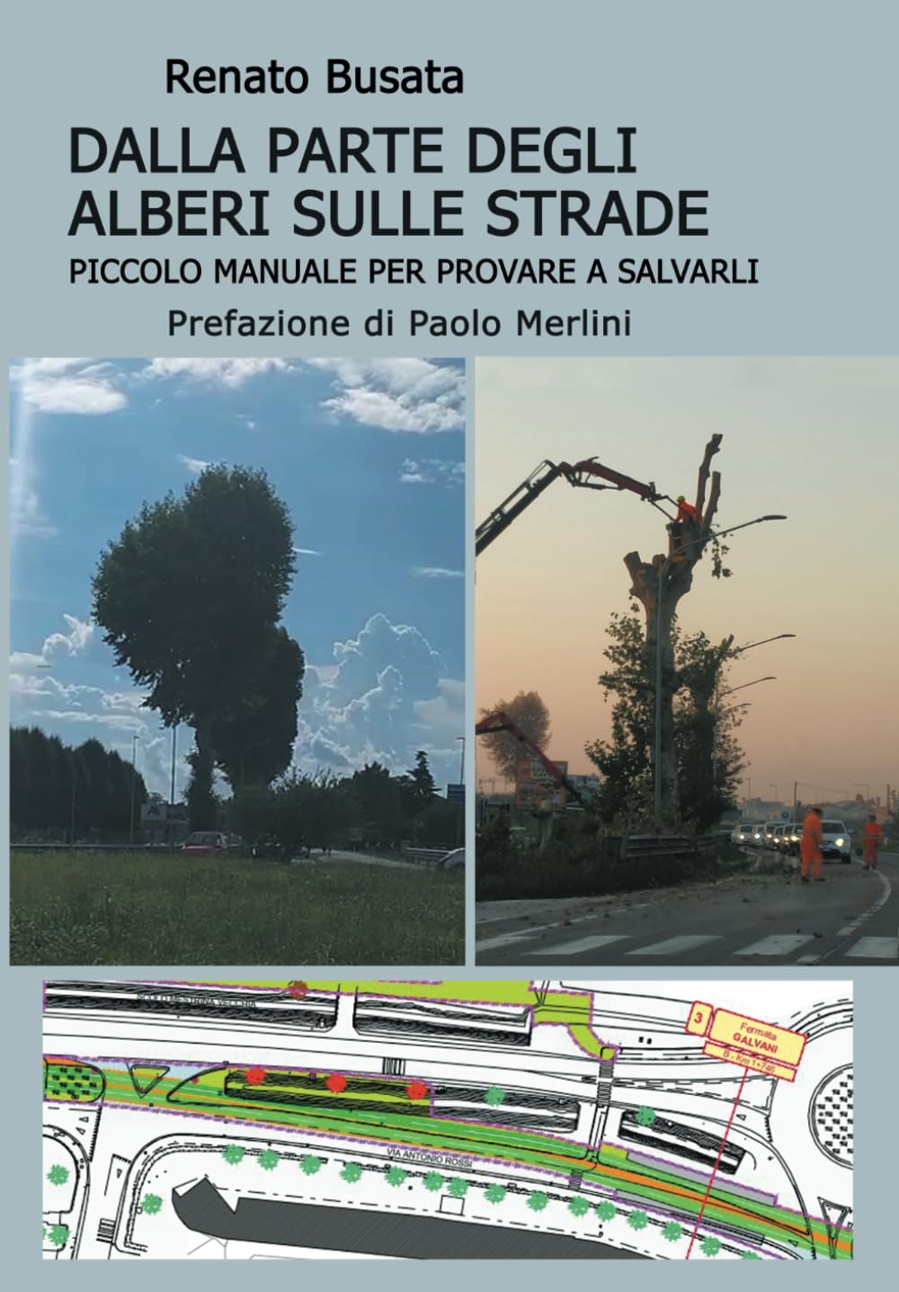 DALLA PARTE DEGLI ALBERI SULLE STRADE: Piccolo manuale per provare a salvarli