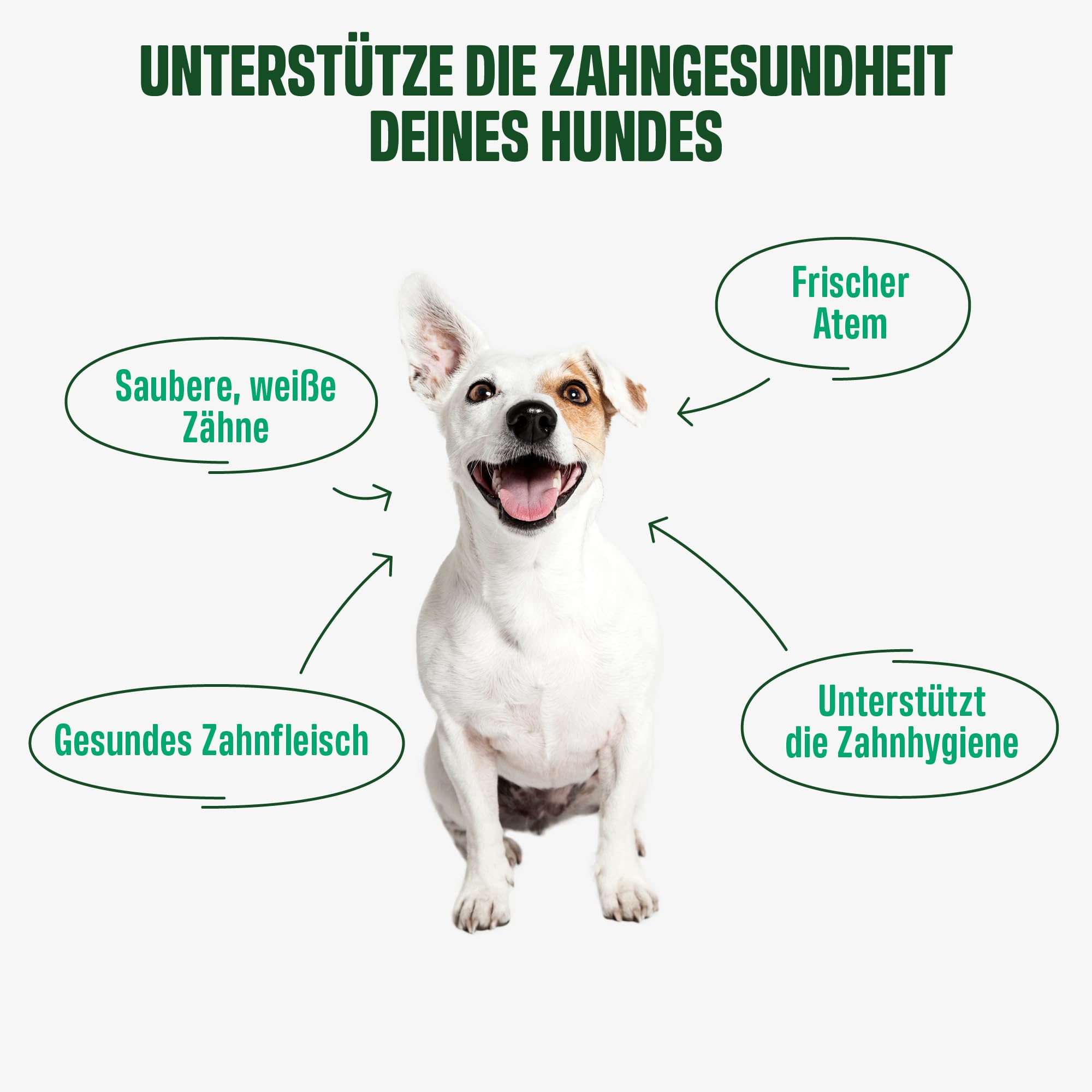 ivvi Dental - Zahnhygiene-Snacks für Hunde. Zahnpflege für gesunde Zähne und Zahnfleisch, hilft bei Zahnbelag und schlechtem Atem, Mundgeruch - 60 Snacks (270g) mit Huhn.