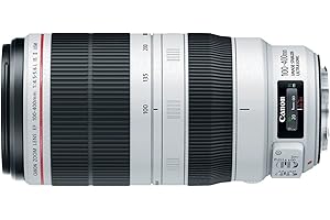 Canon EF 100-400mm f/4.5-5.6 L IS II USM Lens