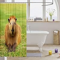 Vista 3 de Capybara - Cortina de ducha 3D Capybara para amantes de Capybara, divertida cortina de ducha de baño Capybara, cortinas de baño impermeables de tema
