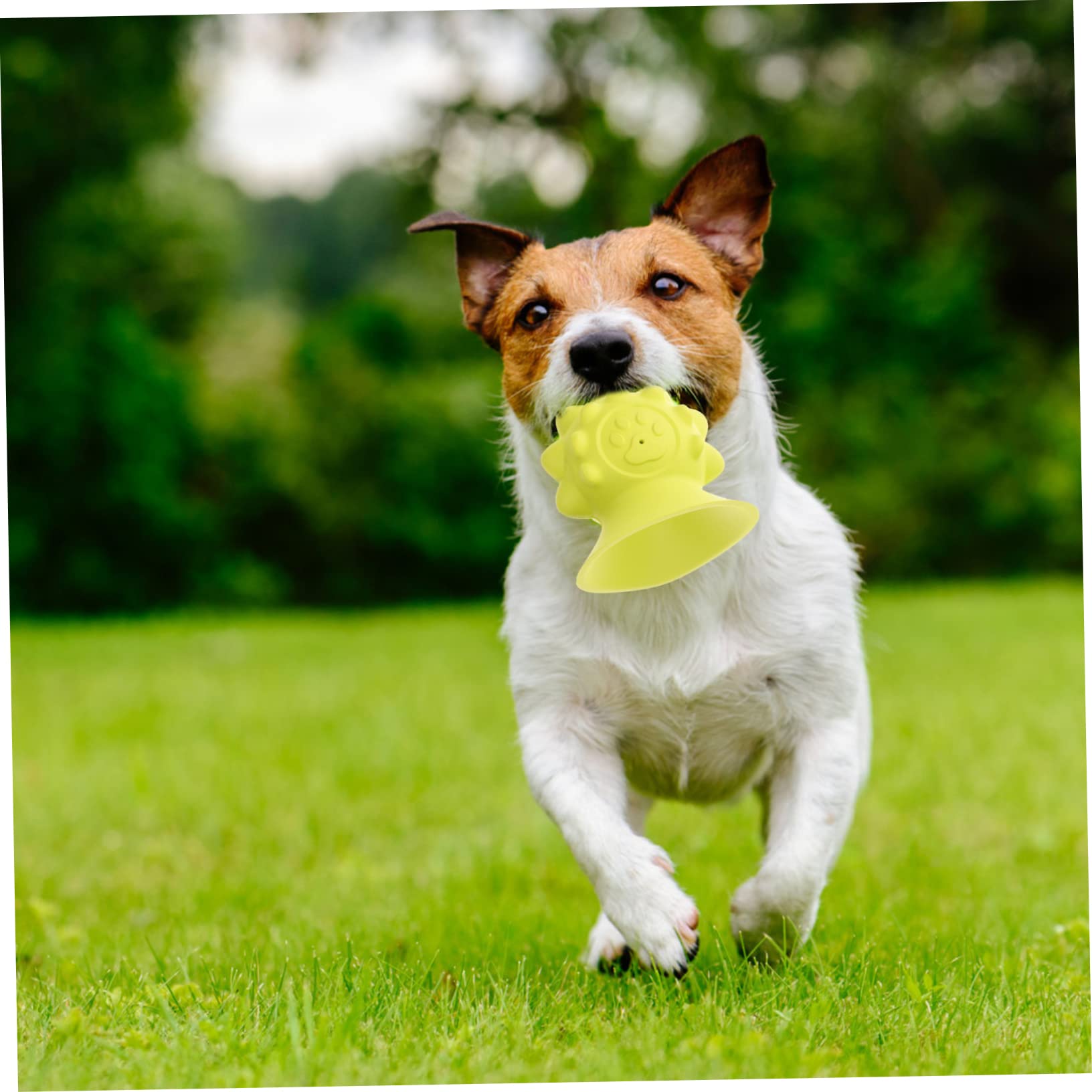 Housoutil 3stücke Educational Hundespielzeug Gummisauger Für Haustiere Interaktives Kauspielzeug Zur Zahnreinigung Und Geistigen Für Drinnen Knallgelb