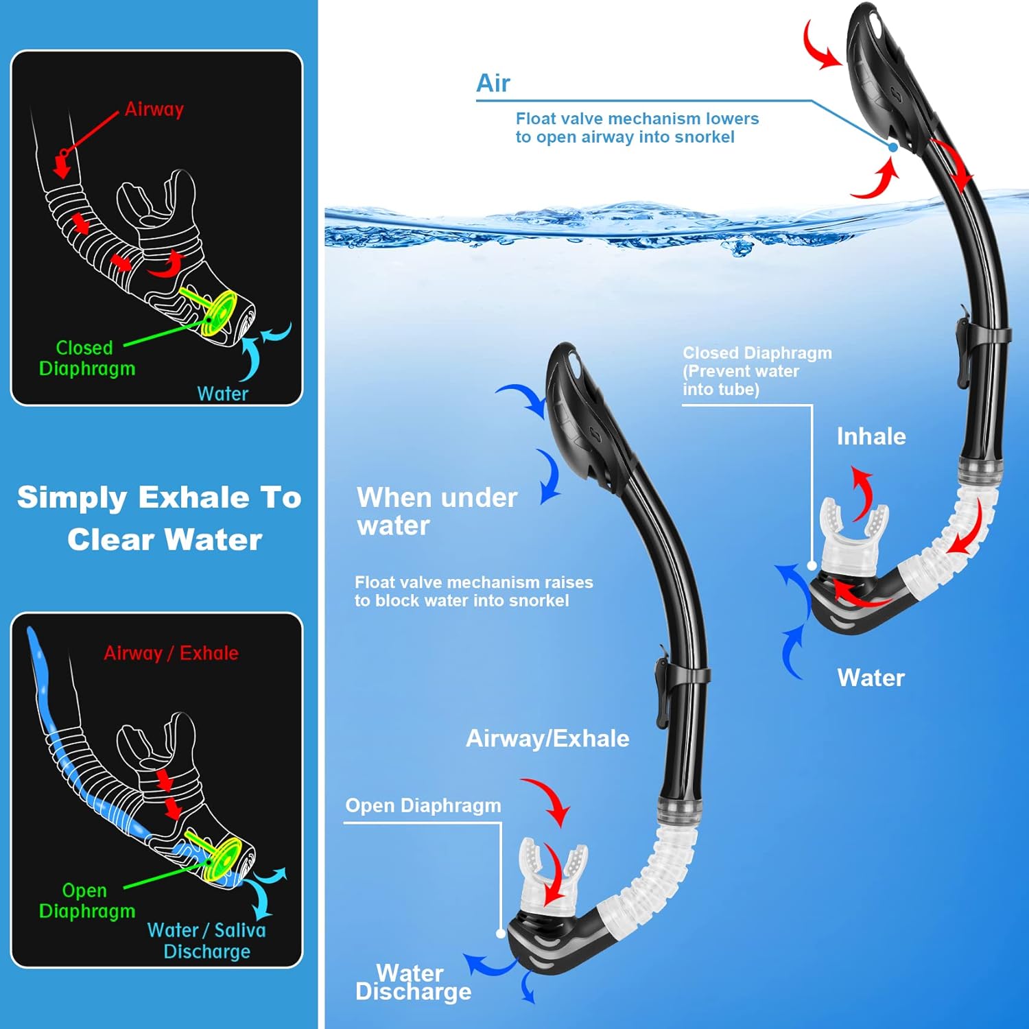 Zeeporte Dive Snorkeling Gear for Adults Kids - Mask Fins Snorkel Set with Panoramic View Snorkel Mask Anti-Fog Anti-Leak, Dry Top Snorkel, Dive Flippers and Gear Bag, Snorkeling Diving Safety Gear : Sports & Outdoors