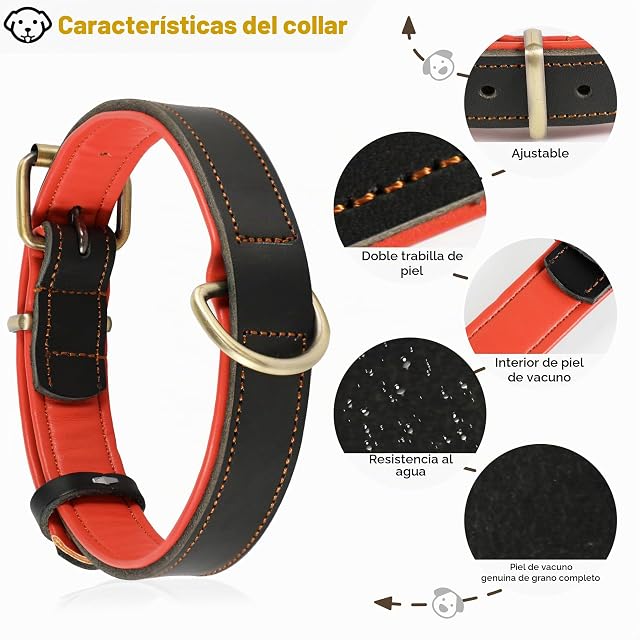 Foto 3 de 7 de Collar de Cuero Genuino para Perro, Varios tamaños y Colores, Resistente, cómodo