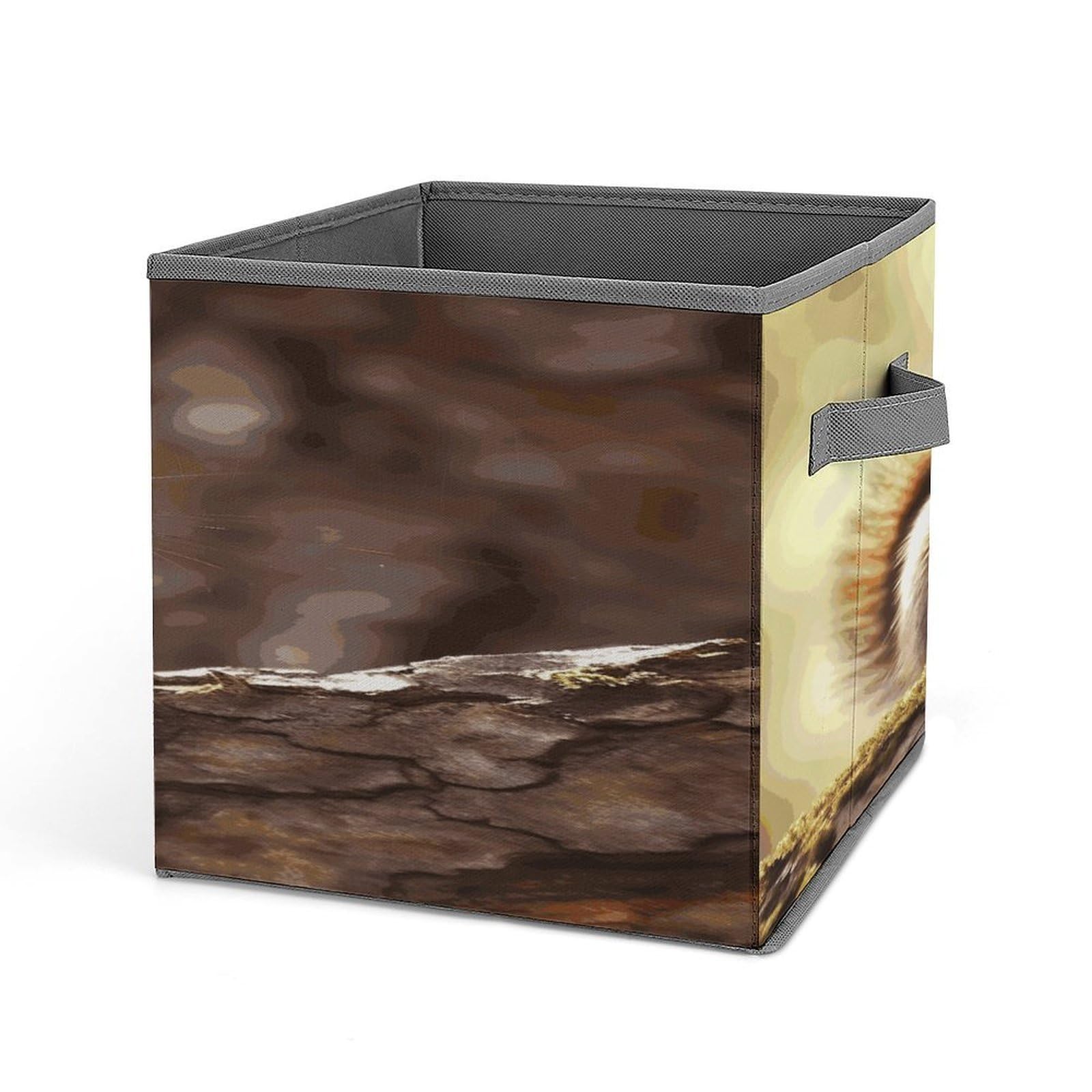 Fekiloot Style Funny Squirrel1 Storage Bins Storage Baskets