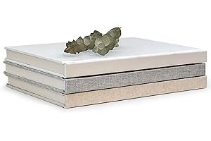 Decorative Book Set: An Aesthetically Pleasing Addition to Your Home