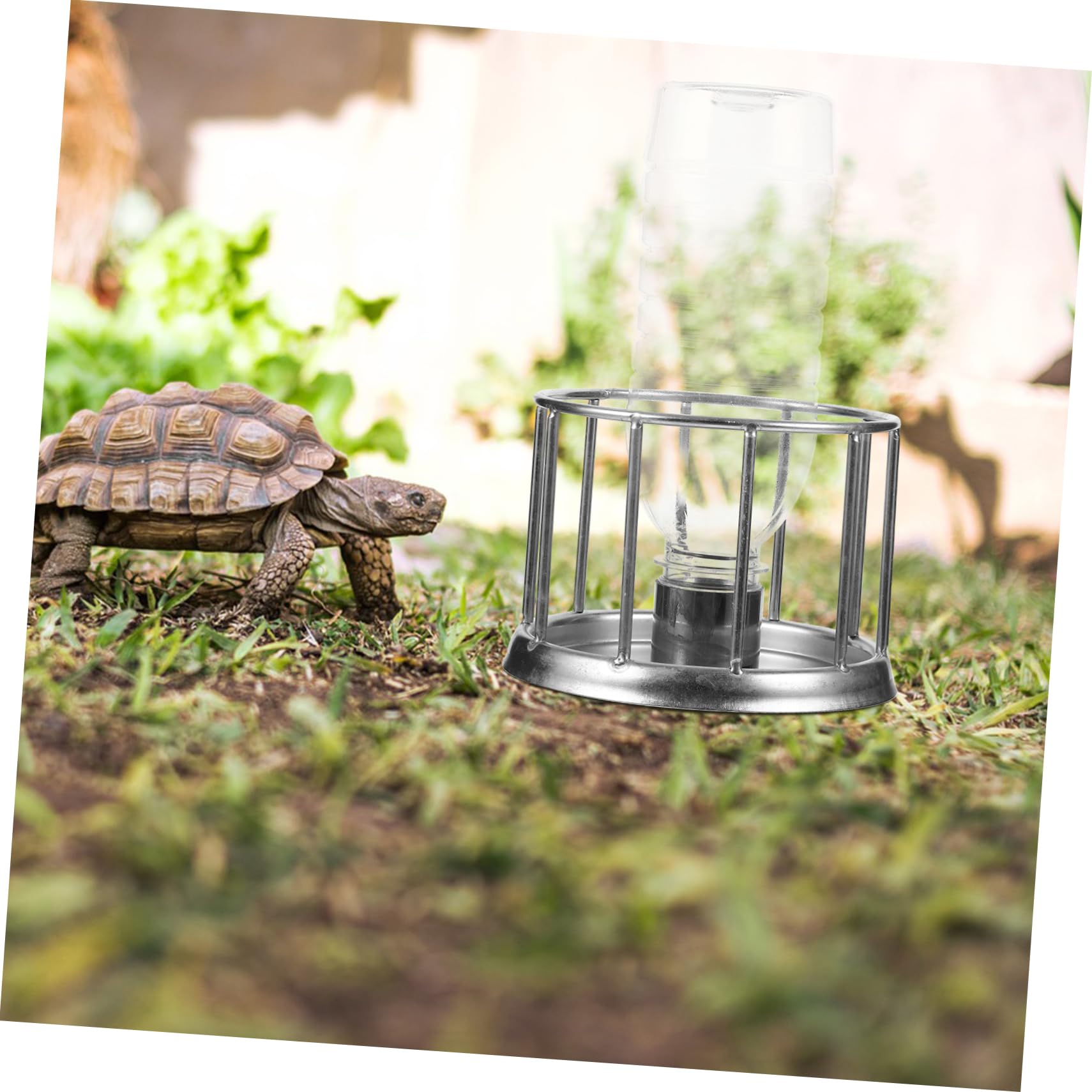 HANABASS 4pezzi Ciotola per Tartarughe Inossidabile Mini Multipurpose Reptile Water Feeding Dish per Terrari e Rettili Resistente e Facile