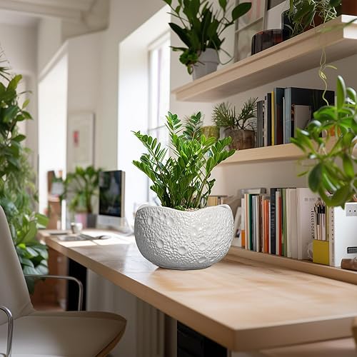 Miniatura 3 de Maceta de cerámica de 10 pulgadas para interiores y exteriores, macetas redondas para bonsái, macetas decorativas con agujero de drenaje, macetas