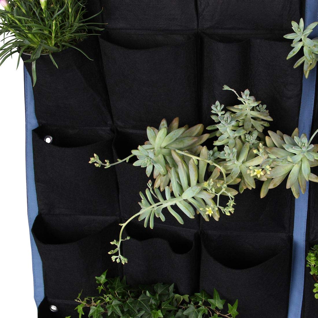 Jardin Vertical Pared Bolsas Para Plantas Colgantes De Pared - 72 Bolsillos  De Fieltro (1x1m, Verde/Negro), image size:1100x1100