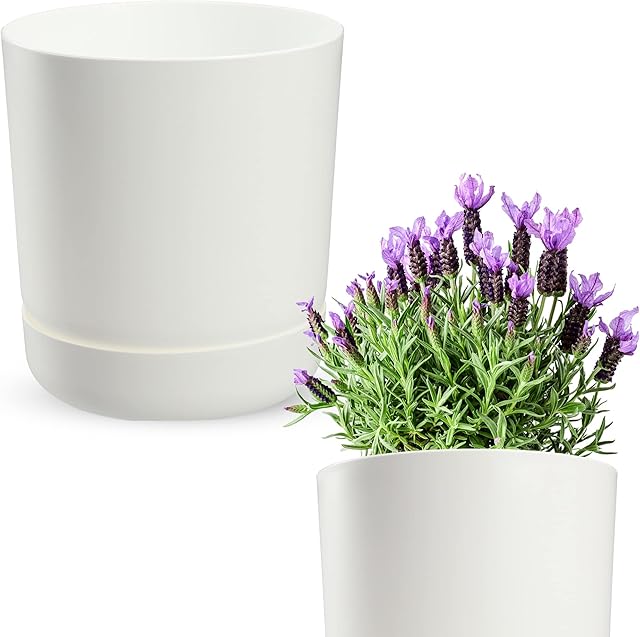 KADAX Doniczka z podstawką, doniczka na rośliny z tworzywa sztucznego, minimalistyczna donica na kwiaty, kaktusy i zioła (15 cm, biała)