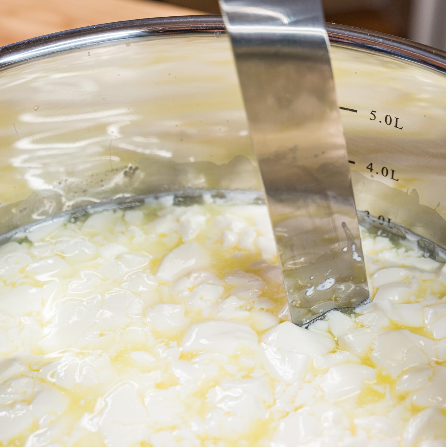 Labextrakt (Käselab) Flüssig 1000ml 1:15000 - Vegetarisches Lab für Käse Selber Machen