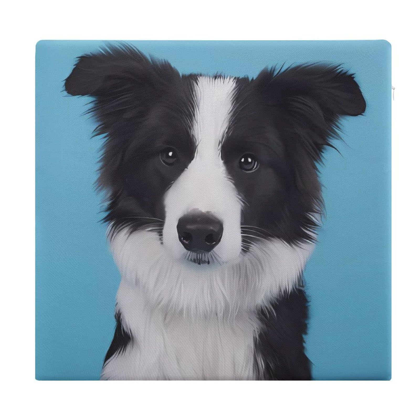 Cojín para comedor Border Collie de espuma suave y lavable para sala de estar